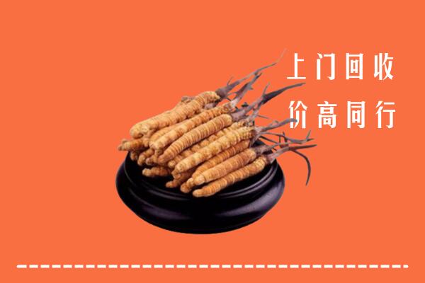 盘锦回收冬虫夏草
