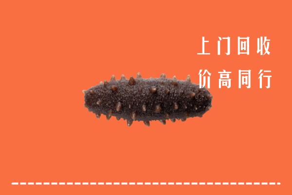 高价求购：盘锦回收海参