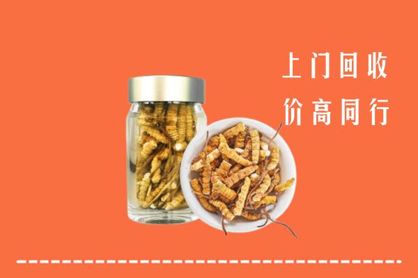 盘锦回收冬虫夏草